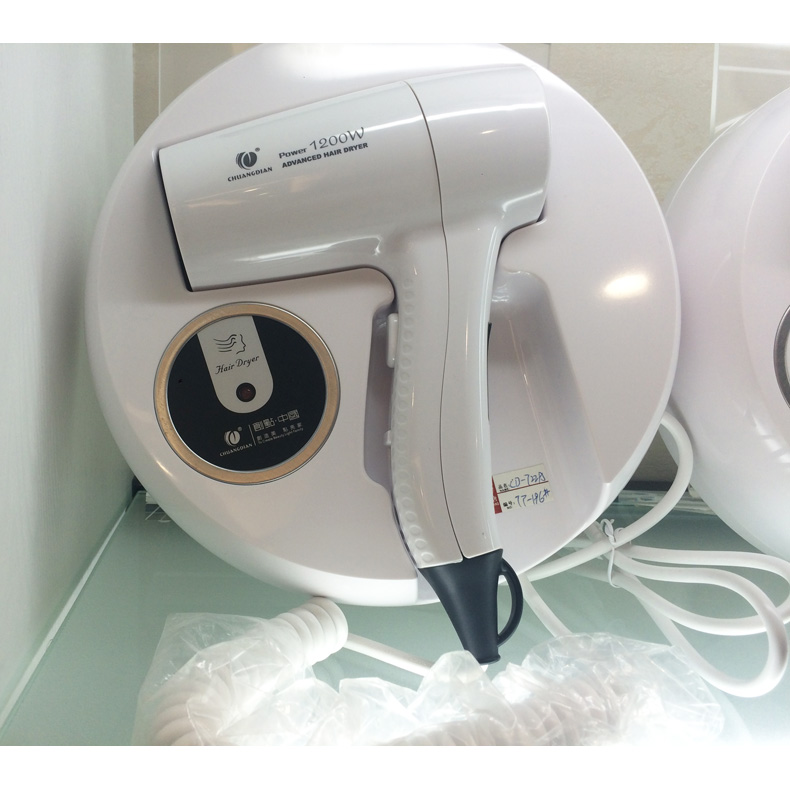 Wall hair dryer with whiskers socket